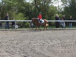 2010 Sommerturnering